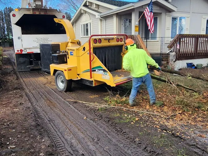 Tree Services | GA Tree and Yard Service